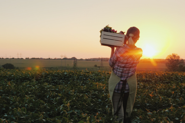 intemperies-:-quel(s)-soutien(s)-pour-le-secteur-agricole-?