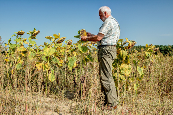 aleas-climatiques-:-un-dispositif-pour-(r)assurer-les-agriculteurs-!