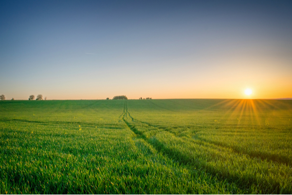 zones-agricoles-:-sont-elles-reservees-aux-activites-agricoles-?