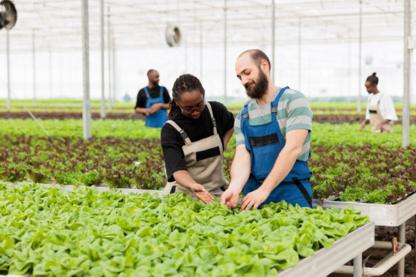 loi-egalim-3-:-de-nouvelles-evolutions-en-faveur-des-agriculteurs