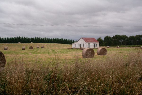 bail-rural-:-une-resiliation-toujours-possible-?