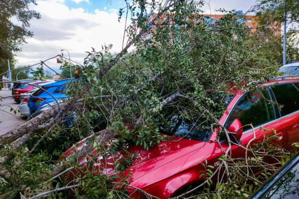 tempete-ciaran-:-l’etat-vole-au-secours-des-entrepreneurs