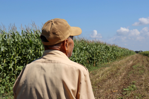 bail-rural-:-le-consentement-du-bailleur-en-question…