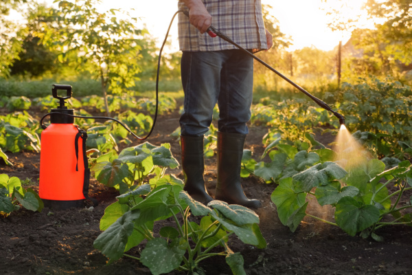 pesticides-:-rappels-utiles-sur-la-reglementation