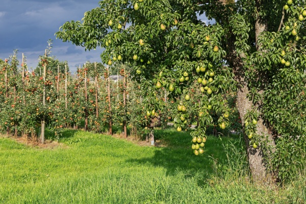 aides-aux-agriculteurs-:-les-soldes-pour-la-campagne-2023-connus