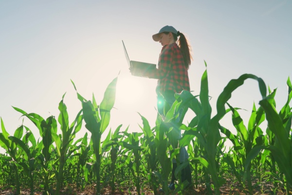 dirigeants-agricoles-:-quelle-nouveaute-pour-votre-declaration-de-revenus-?